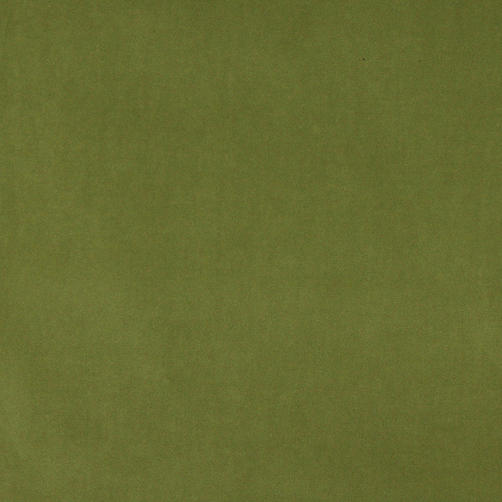 10000-17 by Charlotte Designer Fabric Cotton Velvet 100% Cotton, Velvet Made In USA Exceeds 100,000 Wyzenbeek Rubs (Heavy Duty) No Repeat 54 Inches - Swanky Fabrics -