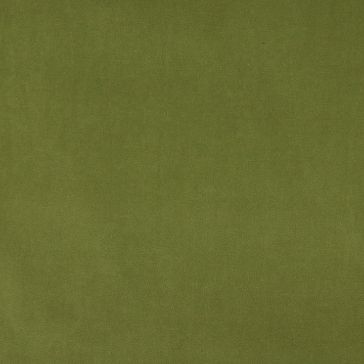 10000-17 by Charlotte Fabric Cotton Velvet 100% Cotton Made In USA Exceeds 100,000 Wyzenbeek Rubs (Heavy Duty) </p><p>Repeat: 54 Inches - Fabric Carolina -