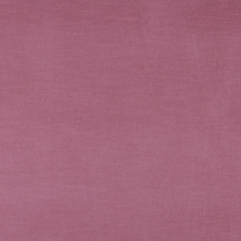 10001-02 by Charlotte Designer Fabric Cotton Velvet 100% Cotton, Velvet Made In USA Exceeds 100,000 Wyzenbeek Rubs (Heavy Duty) No Repeat 54 Inches - Swanky Fabrics -