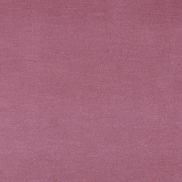 10001-02 by Charlotte Fabric Cotton Velvet 100% Cotton, Velvet Made In USA Exceeds 100,000 Wyzenbeek Rubs (Heavy Duty) No Repeat 54 Inches - Fabric Carolina -