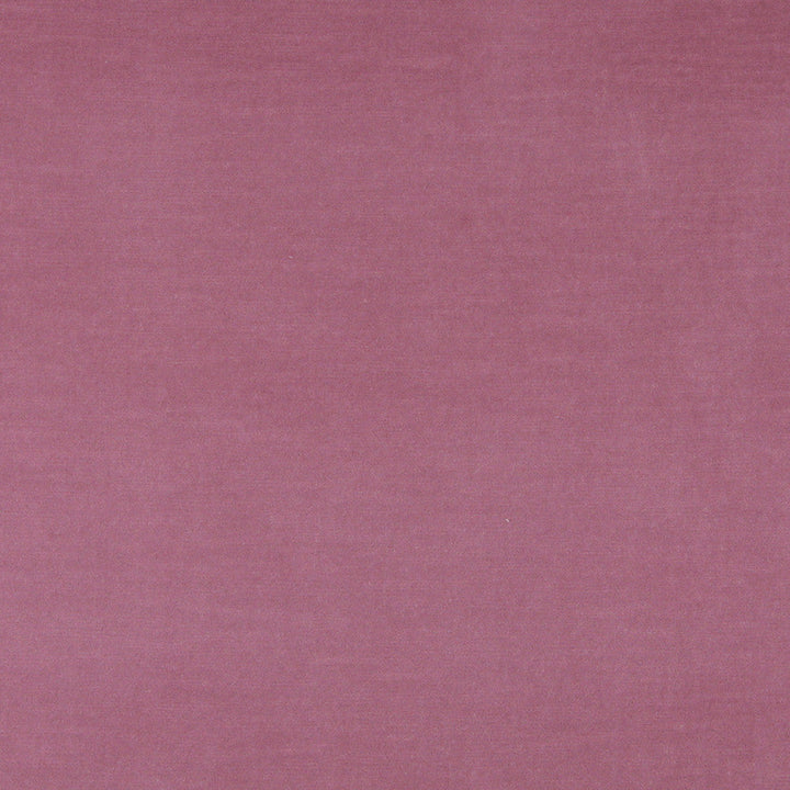 10001-02 by Charlotte Designer Fabric Cotton Velvet 100% Cotton Made In USA Exceeds 100,000 Wyzenbeek Rubs (Heavy Duty) </p><p>Repeat: No Repeat 54 Inches - Swanky Fabrics -