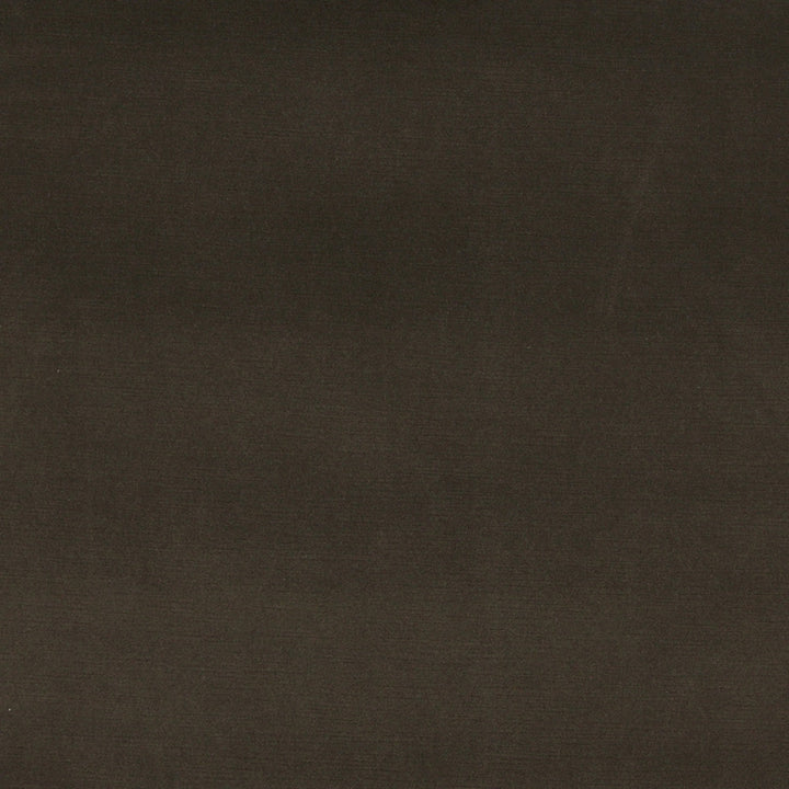 10001-03 by Charlotte Fabric Cotton Velvet 100% Cotton, Velvet Made In USA Exceeds 100,000 Wyzenbeek Rubs (Heavy Duty) No Repeat 54 Inches - Fabric Carolina -