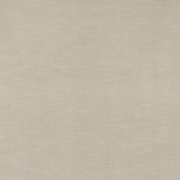 10001-04 by Charlotte Fabric Cotton Velvet 100% Cotton, Velvet Made In USA Exceeds 100,000 Wyzenbeek Rubs (Heavy Duty) No Repeat 54 Inches - Fabric Carolina -