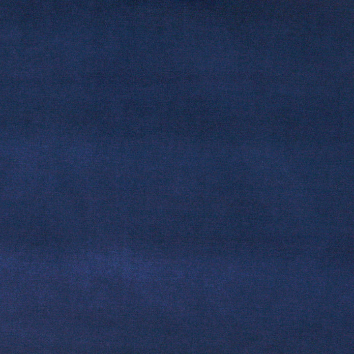 10001-07 by Charlotte Designer Fabric Cotton Velvet 100% Cotton, Velvet Made In USA Exceeds 100,000 Wyzenbeek Rubs (Heavy Duty) No Repeat 54 Inches - Swanky Fabrics -