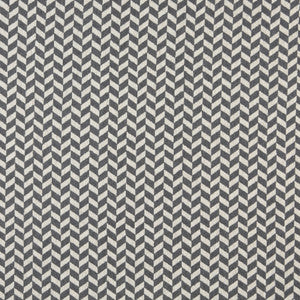 10004-02 by Charlotte Fabric