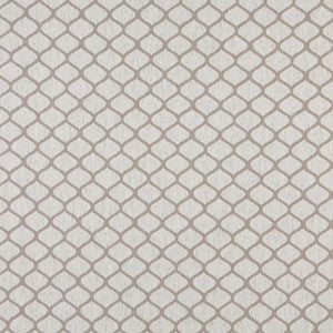 10005-06 by Charlotte Fabric