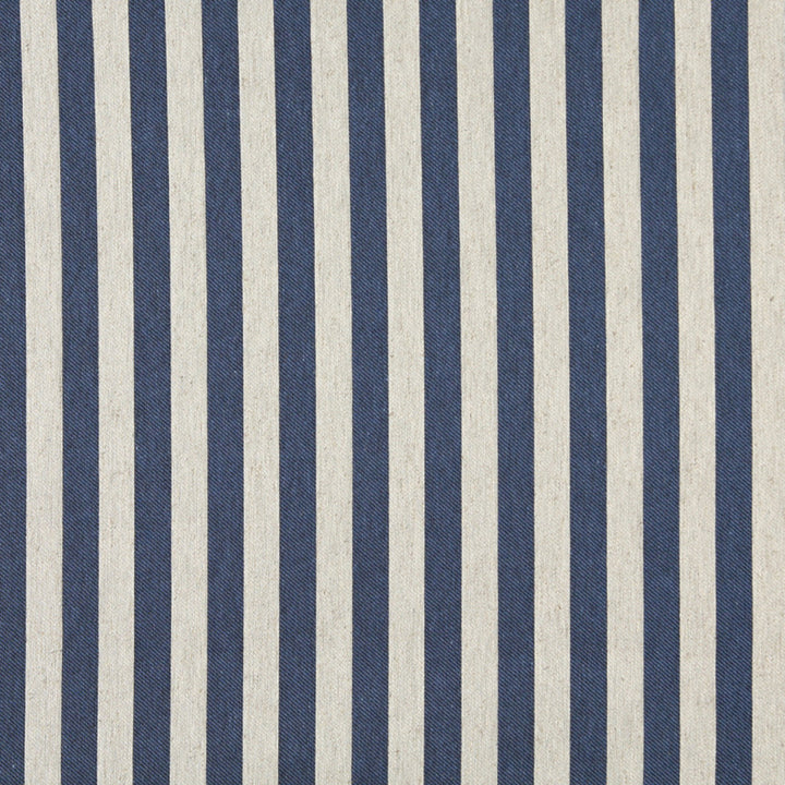 10009-05 by Charlotte Fabric Vogue 60% Cotton, 30% Polyester, 10% Flax Made In USA Exceeds 200,000 Wyzenbeek Rubs (Heavy Duty) Horizontal: 1.5" 54 Inches - Fabric Carolina -