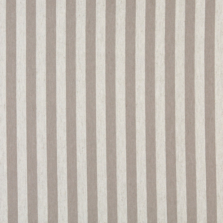 10009-06 by Charlotte Fabric Vogue 60% Cotton, 30% Polyester, 10% Flax Made In USA Exceeds 200,000 Wyzenbeek Rubs (Heavy Duty) Horizontal: 1.5" 54 Inches - Fabric Carolina -