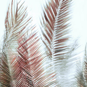 10010 44W8771 By JF Wallcovering