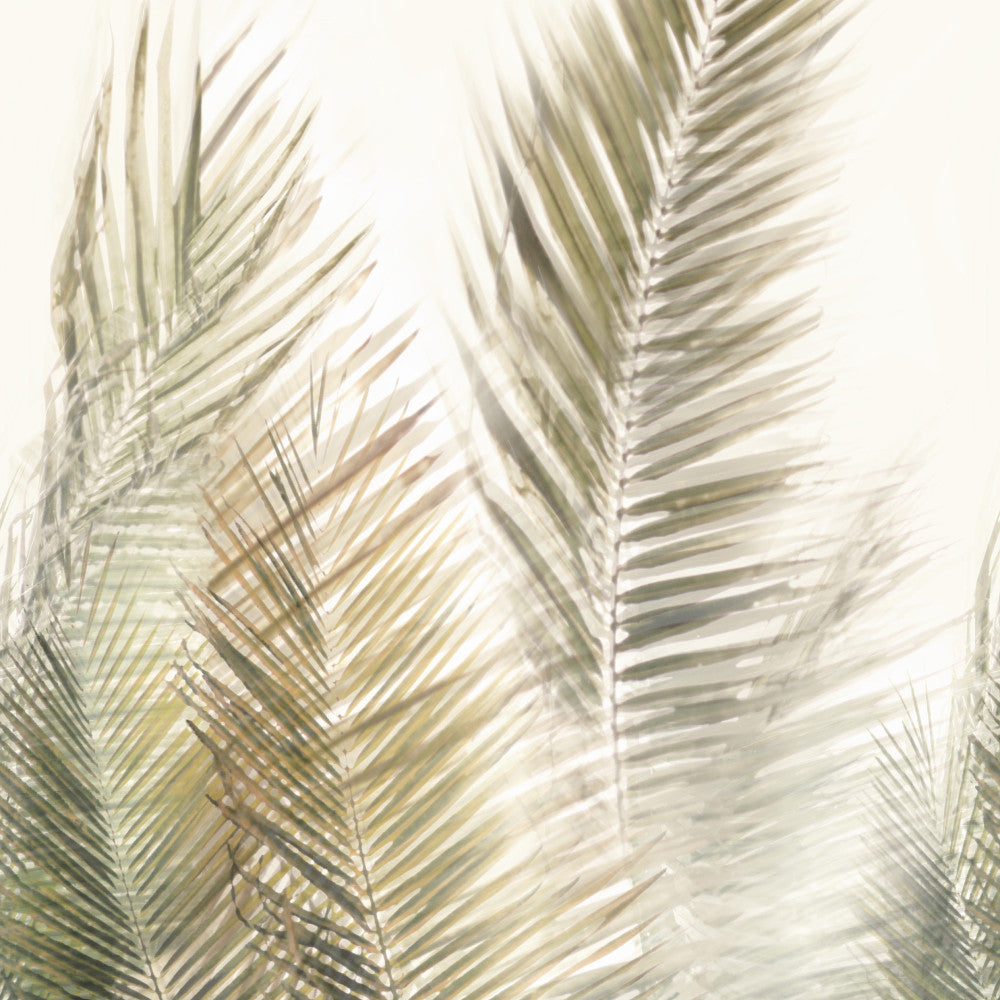 10010 72W8771 by JF Wallcovering Mural KONA WALLCOVERING BOOK 100% Wallpaper Italy Horizontal: and Vertical: 26.7 inches, 9 yards per roll. - Fabric Carolina -