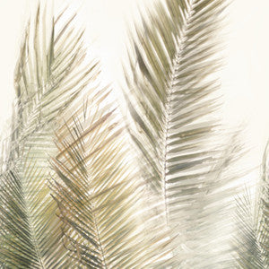 10010 72W8771 By JF Wallcovering
