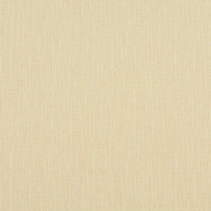 10031-15 by Charlotte Fabric Cityscapes 59% Cotton, 41% Polyester Taiwan Exceeds 48,000 Wyzenbeek Rubs (Heavy Duty) No Repeat 54 Inches - Fabric Carolina -