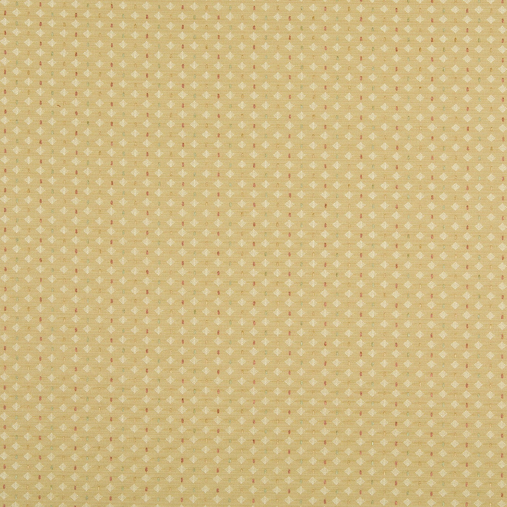 10050-01 by Charlotte Fabric Escapes 58% Polyester, 42% Rayon Asia Exceeds 70,000 Wyzenbeek Rubs (Heavy Duty) Horizontal: 2.5" x Vertical: 1.5" 54 Inches - Fabric Carolina -