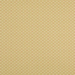10050-01 by Charlotte Fabric