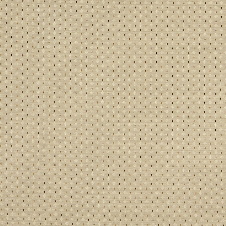 10050-04 by Charlotte Fabric Escapes 58% Polyester, 42% Rayon Asia Exceeds 70,000 Wyzenbeek Rubs (Heavy Duty) Horizontal: 2.5" x Vertical: 1.5" 54 Inches - Fabric Carolina -