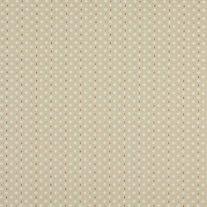 10050-06 by Charlotte Fabric Escapes 58% Polyester, 42% Rayon Asia Exceeds 70,000 Wyzenbeek Rubs (Heavy Duty) Horizontal: 2.5" x Vertical: 1.5" 54 Inches - Fabric Carolina -
