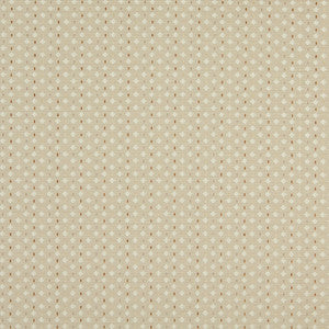 10050-06 by Charlotte Fabric