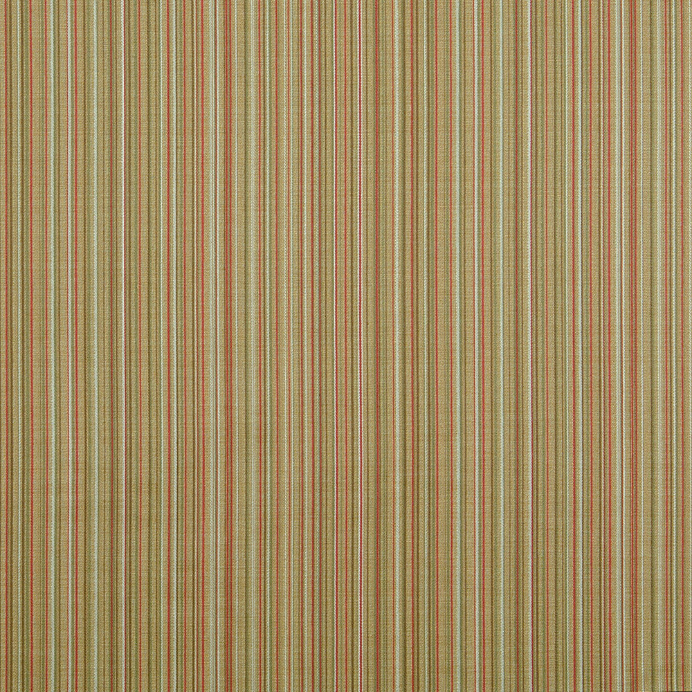 10060-01 by Charlotte Fabric Escapes 53% Polyester, 47% Rayon Asia Exceeds 70,000 Wyzenbeek Rubs (Heavy Duty) Horizontal: 10" 54 Inches - Fabric Carolina -