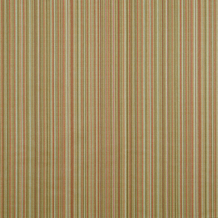 10060-01 by Charlotte Fabric Escapes 53% Polyester, 47% Rayon Asia Exceeds 70,000 Wyzenbeek Rubs (Heavy Duty) Horizontal: 10" 54 Inches - Fabric Carolina -