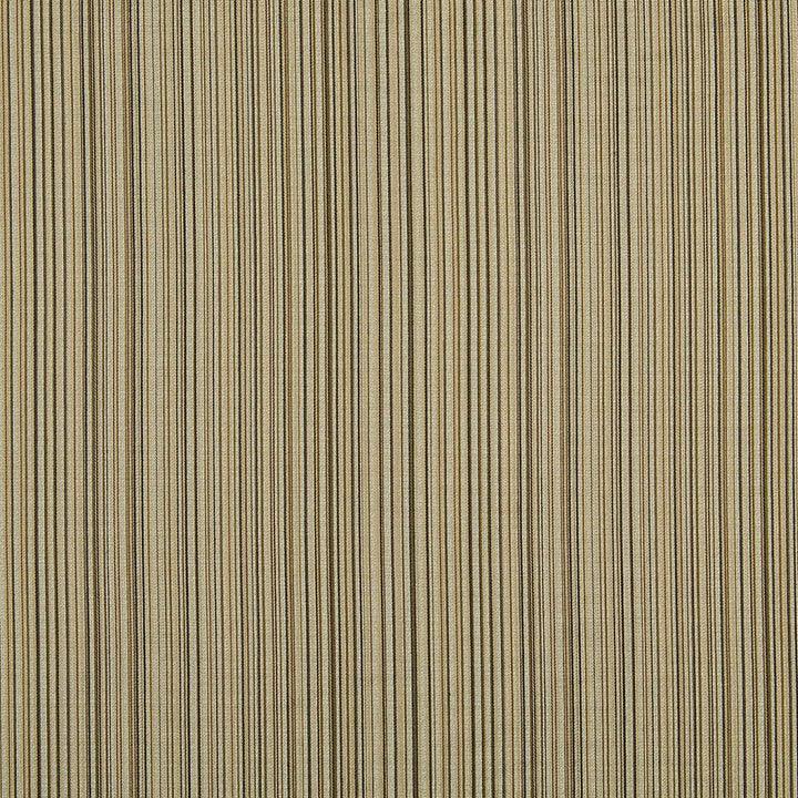 10060-04 by Charlotte Fabric Escapes 53% Polyester, 47% Rayon Asia Exceeds 70,000 Wyzenbeek Rubs (Heavy Duty) Horizontal: 10" 54 Inches - Fabric Carolina -