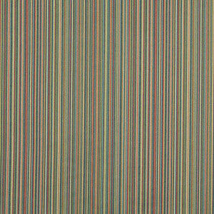 10060-05 by Charlotte Fabric