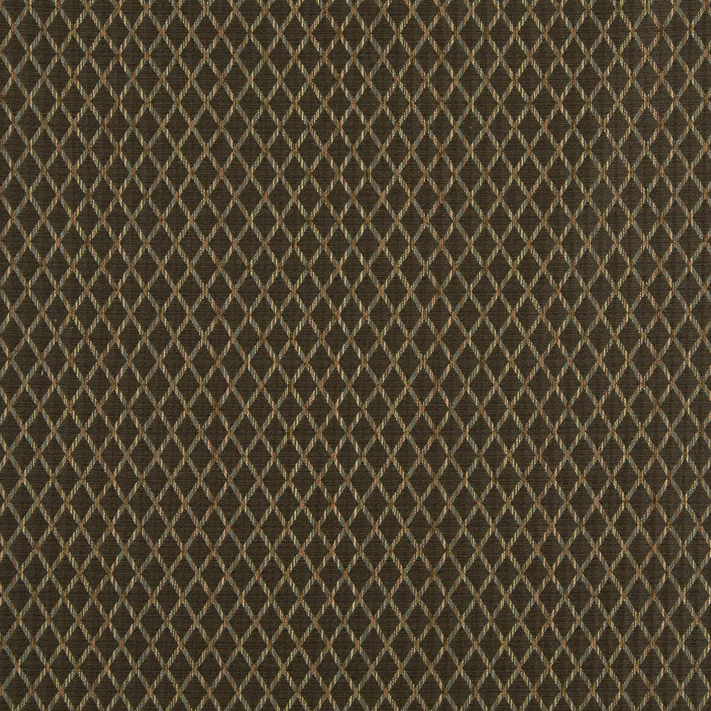 10070-02 by Charlotte Fabric Escapes 64% Polyester, 36% Rayon Asia Exceeds 70,000 Wyzenbeek Rubs (Heavy Duty) Horizontal: .75" x Vertical: 1" 54 Inches - Fabric Carolina -