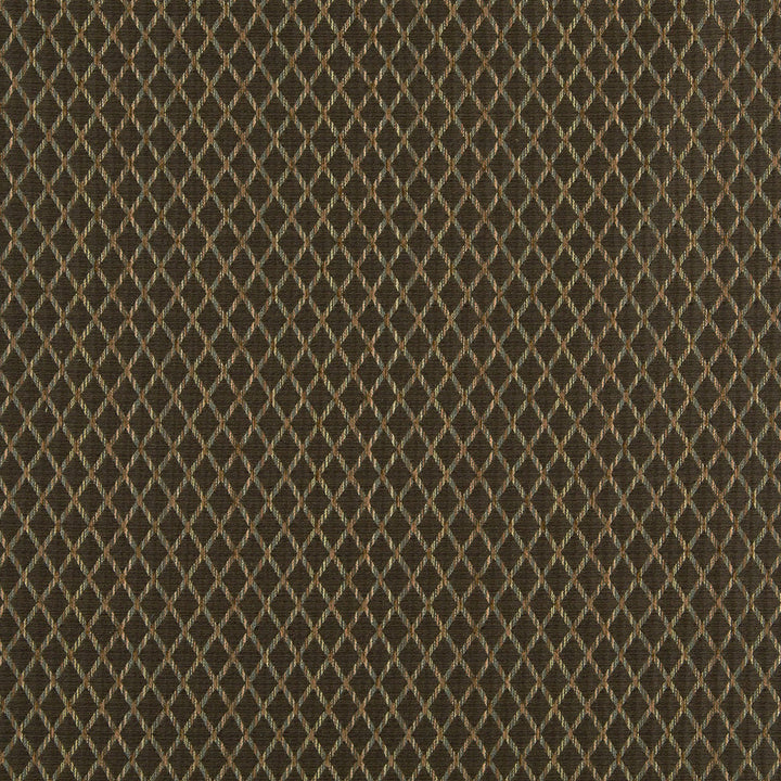 10070-02 by Charlotte Fabric Escapes 64% Polyester, 36% Rayon Asia Exceeds 70,000 Wyzenbeek Rubs (Heavy Duty) Horizontal: .75" x Vertical: 1" 54 Inches - Fabric Carolina -
