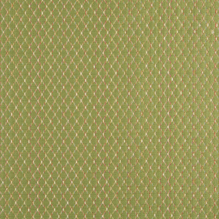 10070-03 by Charlotte Fabric Escapes 64% Polyester, 36% Rayon Asia Exceeds 70,000 Wyzenbeek Rubs (Heavy Duty) Horizontal: .75" x Vertical: 1" 54 Inches - Fabric Carolina -