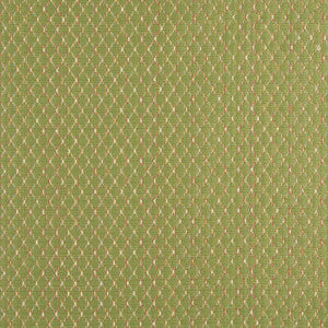 10070-03 by Charlotte Fabric