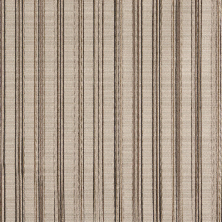 10090-04 by Charlotte Fabric Escapes 53% Polyester, 47% Rayon Asia Exceeds 70,000 Wyzenbeek Rubs (Heavy Duty) Horizontal: 8.75" 54 Inches - Fabric Carolina -