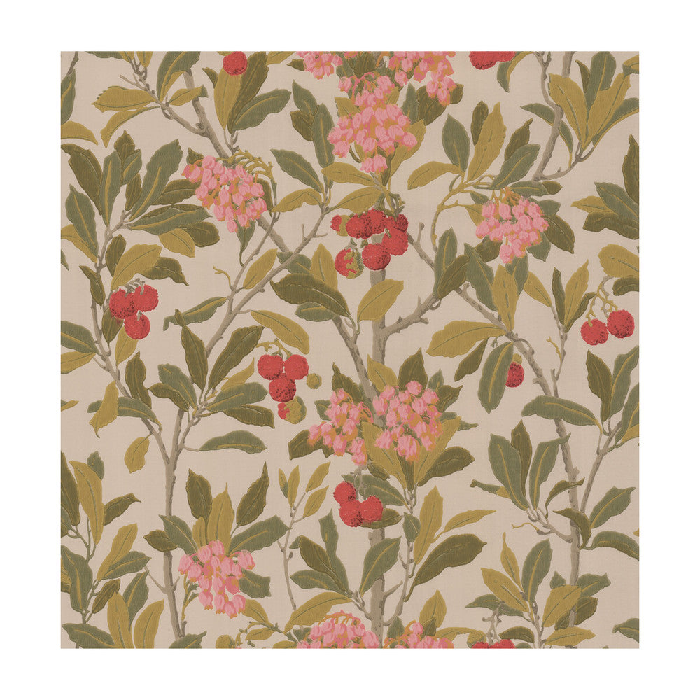 Strawberry Tree Pink & Linen by Cole & Son Wallcovering Cole & Son Wallcovering Strawberry Tree Pink & LinenWallcovering COLE & SON ARCHIVE ANTHOLOGY PAPER - 100% United Kingdom </p><p>Repeat: H: , V: 21.1 20.5 - Fabric Carolina -