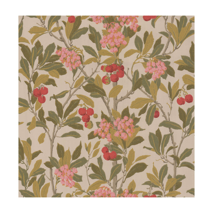 Strawberry Tree Pink & Linen by Cole & Son Wallcovering COLE & SON ARCHIVE ANTHOLOGY PAPER - 100% United Kingdom - Horizontal: - and Vertical: 21.1 20.5 - Fabric Carolina -