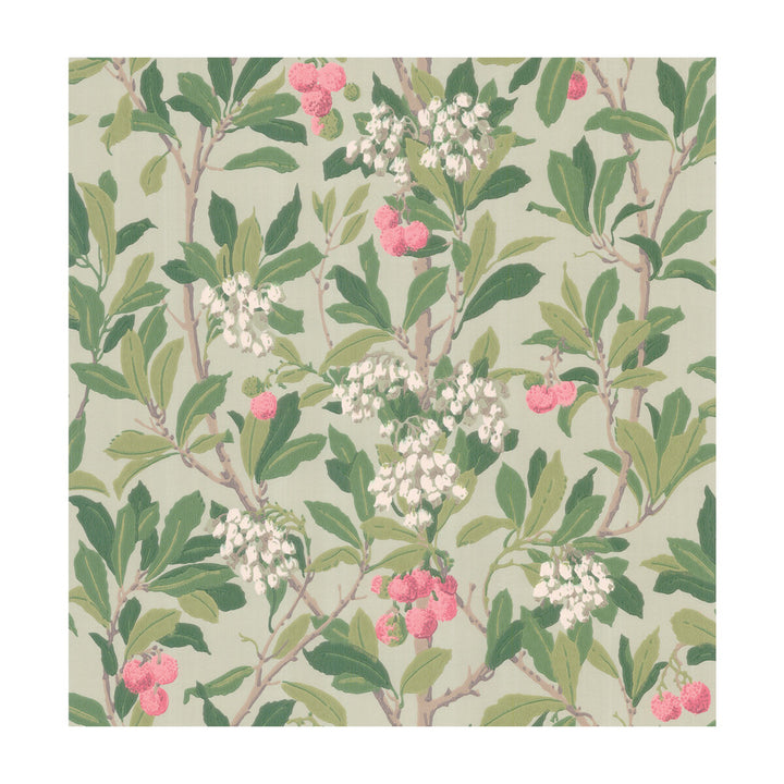 Strawberry Tree Pink & Duck Egg by Cole & Son Wallcovering COLE & SON ARCHIVE ANTHOLOGY PAPER - 100% United Kingdom Horizontal: and Vertical: 21.1 20.5 - Fabric Carolina -