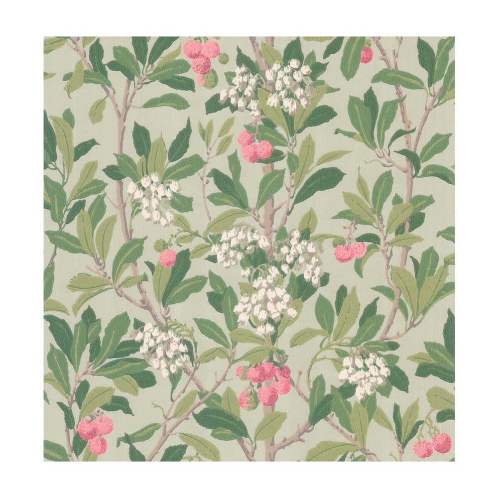 Strawberry Tree Pink & Duck Egg by Cole & Son Wallcovering COLE & SON ARCHIVE ANTHOLOGY PAPER - 100% United Kingdom Horizontal: and Vertical: 21.1 20.5 - Fabric Carolina -