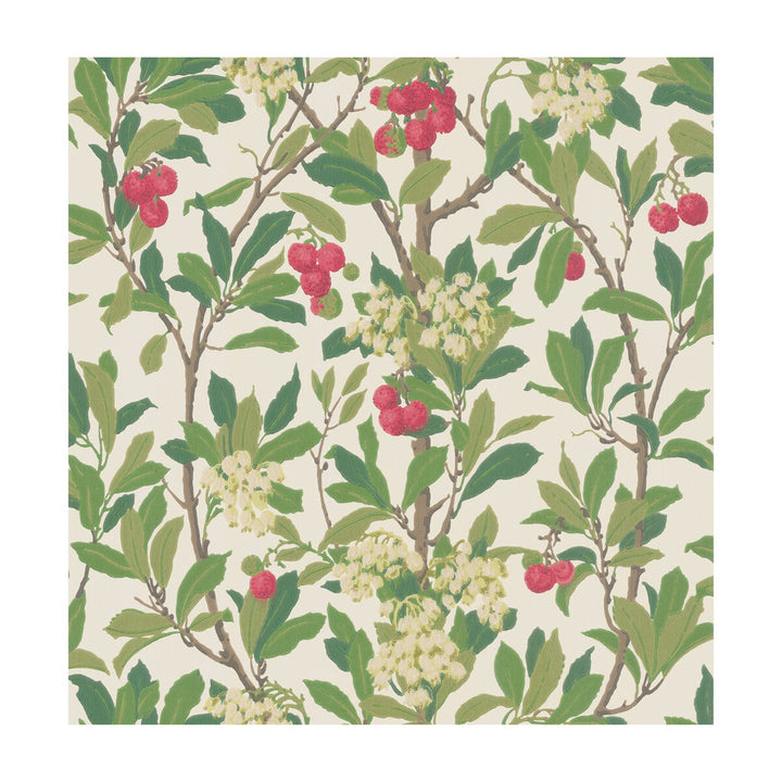 Strawberry Tree Scarlet & Ivory by Cole & Son Wallcovering COLE & SON ARCHIVE ANTHOLOGY PAPER - 100% United Kingdom Horizontal: and Vertical: 21.1 20.5 - Fabric Carolina -