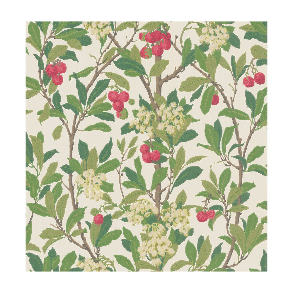 Strawberry Tree Scarlet & Ivory by Cole & Son Wallcovering COLE & SON ARCHIVE ANTHOLOGY PAPER - 100% United Kingdom Horizontal: and Vertical: 21.1 20.5 - Fabric Carolina -