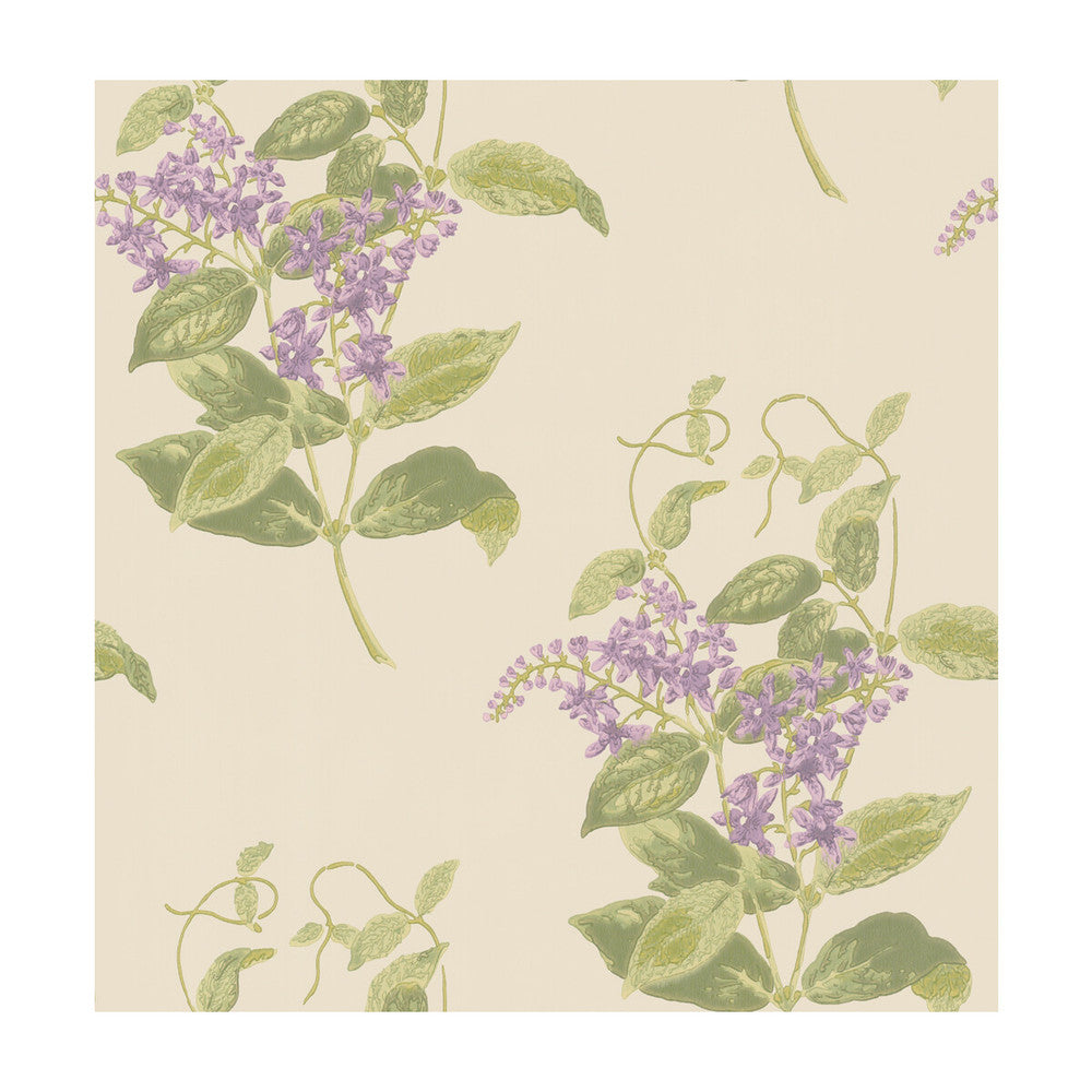 Madras Violet Olive & Lavender by Cole & Son Wallcovering COLE & SON ARCHIVE ANTHOLOGY PAPER - 100% United Kingdom - Horizontal: - and Vertical: 21 20.5 - Fabric Carolina -
