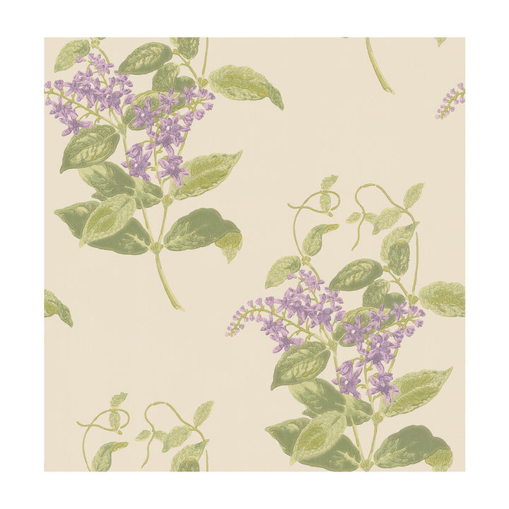 Madras Violet Olive & Lavender by Cole & Son Wallcovering COLE & SON ARCHIVE ANTHOLOGY PAPER - 100% United Kingdom Horizontal: and Vertical: 21 20.5 - Fabric Carolina -