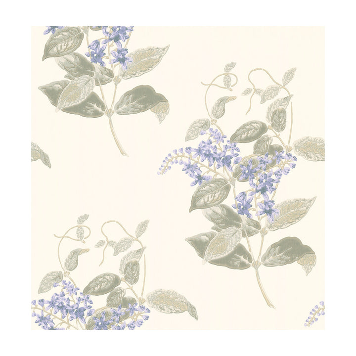 Madras Violet Violet & Grey by Cole & Son Wallcovering COLE & SON ARCHIVE ANTHOLOGY PAPER - 100% United Kingdom - Horizontal: - and Vertical: 21 20.5 - Fabric Carolina -
