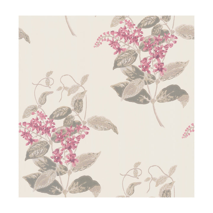 Madras Violet Pink by Cole & Son Wallcovering COLE & SON ARCHIVE ANTHOLOGY PAPER - 100% United Kingdom - Horizontal: - and Vertical: 21 20.5 - Fabric Carolina -