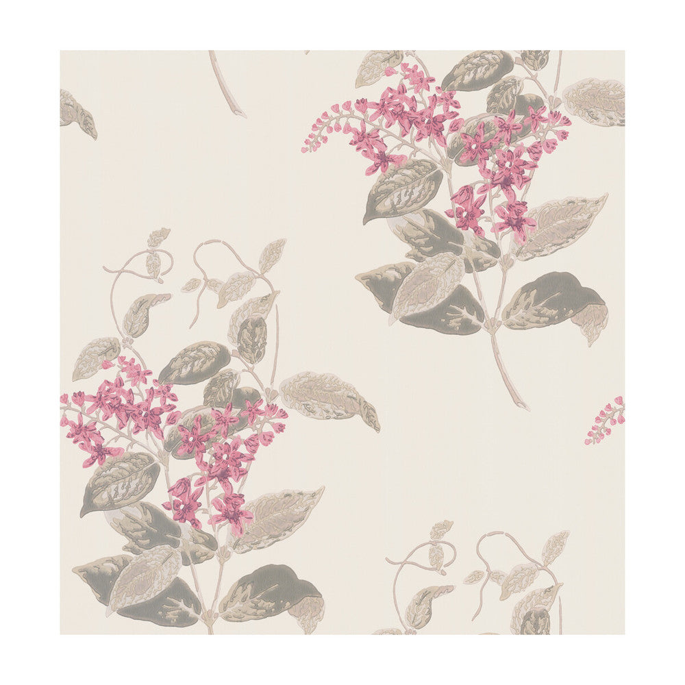 Madras Violet Pink by Cole & Son Wallcovering COLE & SON ARCHIVE ANTHOLOGY PAPER - 100% United Kingdom Horizontal: and Vertical: 21 20.5 - Fabric Carolina -