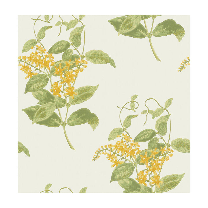 Madras Violet Yellow by Cole & Son Wallcovering Cole & Son Wallcovering Madras Violet YellowWallcovering COLE & SON ARCHIVE ANTHOLOGY PAPER - 100% United Kingdom </p><p>Repeat: H: , V: 21 20.5 - Fabric Carolina -