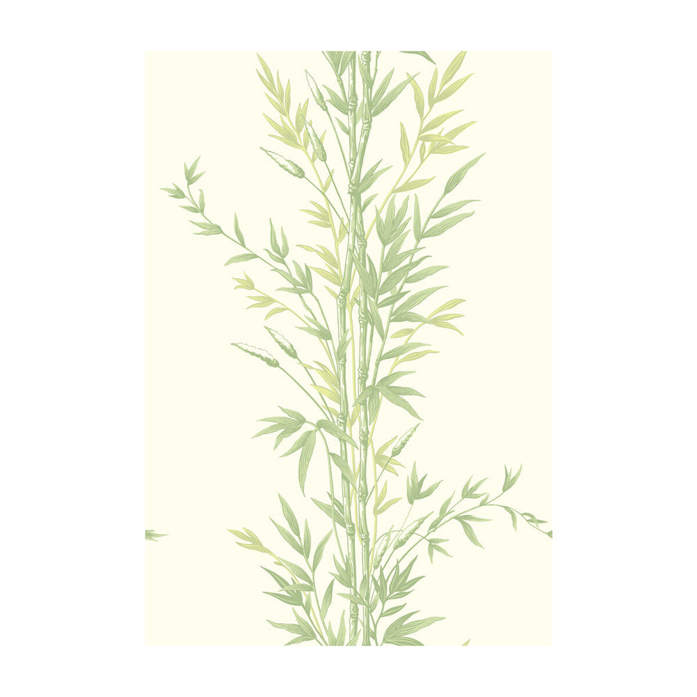 Bamboo Green by Cole & Son Wallcovering COLE & SON ARCHIVE ANTHOLOGY PAPER - 100% United Kingdom Horizontal: and Vertical: 30 20.5 - Fabric Carolina -
