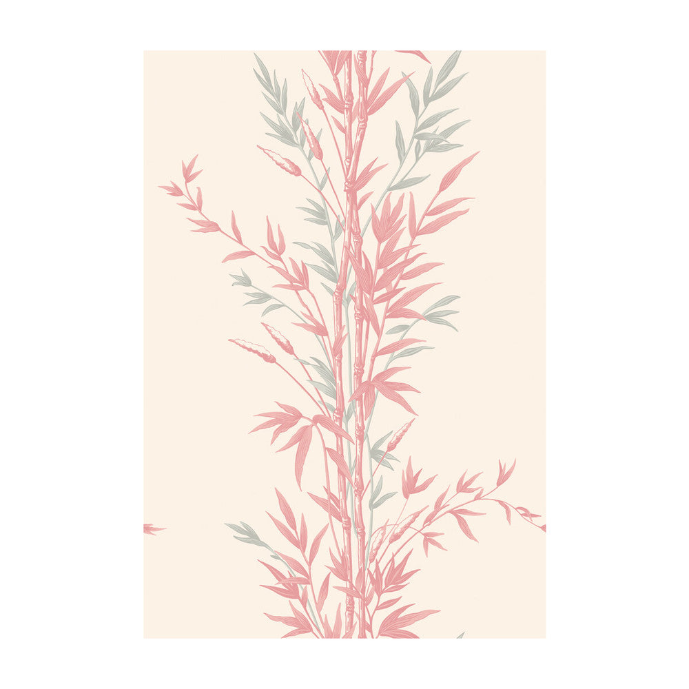 Bamboo Pink by Cole & Son Wallcovering Cole & Son Wallcovering Bamboo PinkWallcovering COLE & SON ARCHIVE ANTHOLOGY PAPER - 100% United Kingdom </p><p>Repeat: H: , V: 30 20.5 - Fabric Carolina -