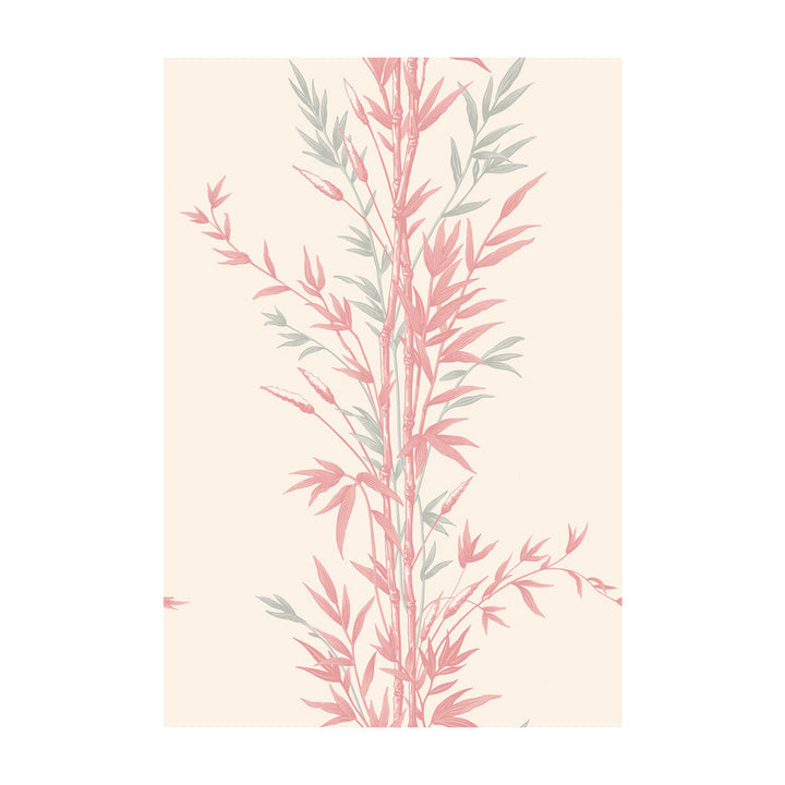 Bamboo Pink by Cole & Son Designer Wallcovering COLE & SON ARCHIVE ANTHOLOGY PAPER - 100% United Kingdom Horizontal: and Vertical: 30 20.5 - Swanky Fabrics -