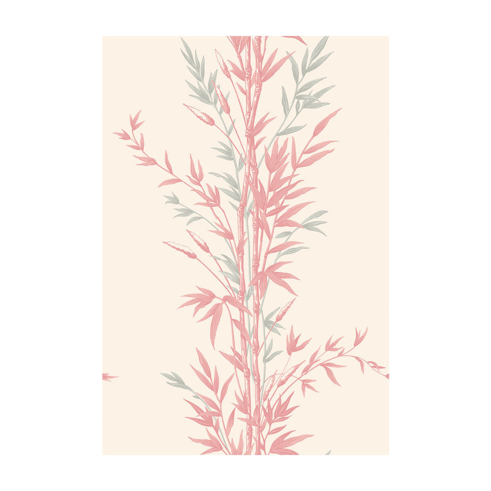 Bamboo Pink by Cole & Son Designer Wallcovering COLE & SON ARCHIVE ANTHOLOGY PAPER - 100% United Kingdom Horizontal: and Vertical: 30 20.5 - Swanky Fabrics -
