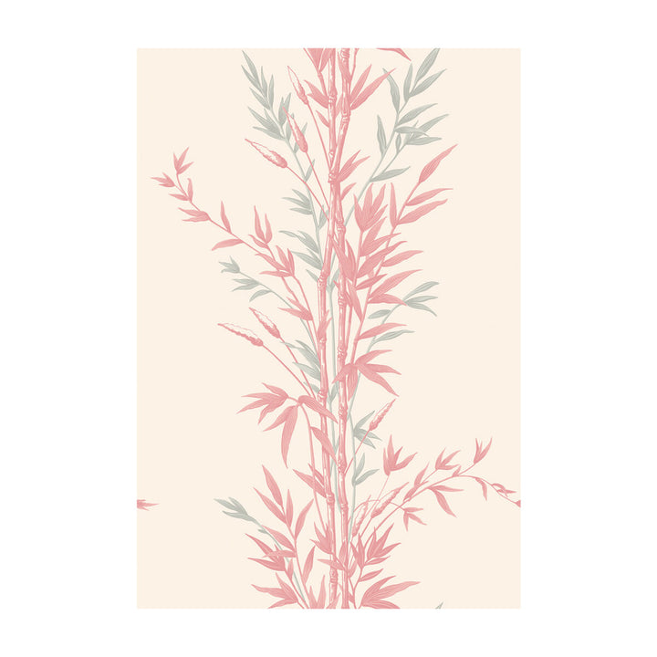 Bamboo Pink by Cole & Son Wallcovering COLE & SON ARCHIVE ANTHOLOGY PAPER - 100% United Kingdom Horizontal: and Vertical: 30 20.5 - Fabric Carolina -