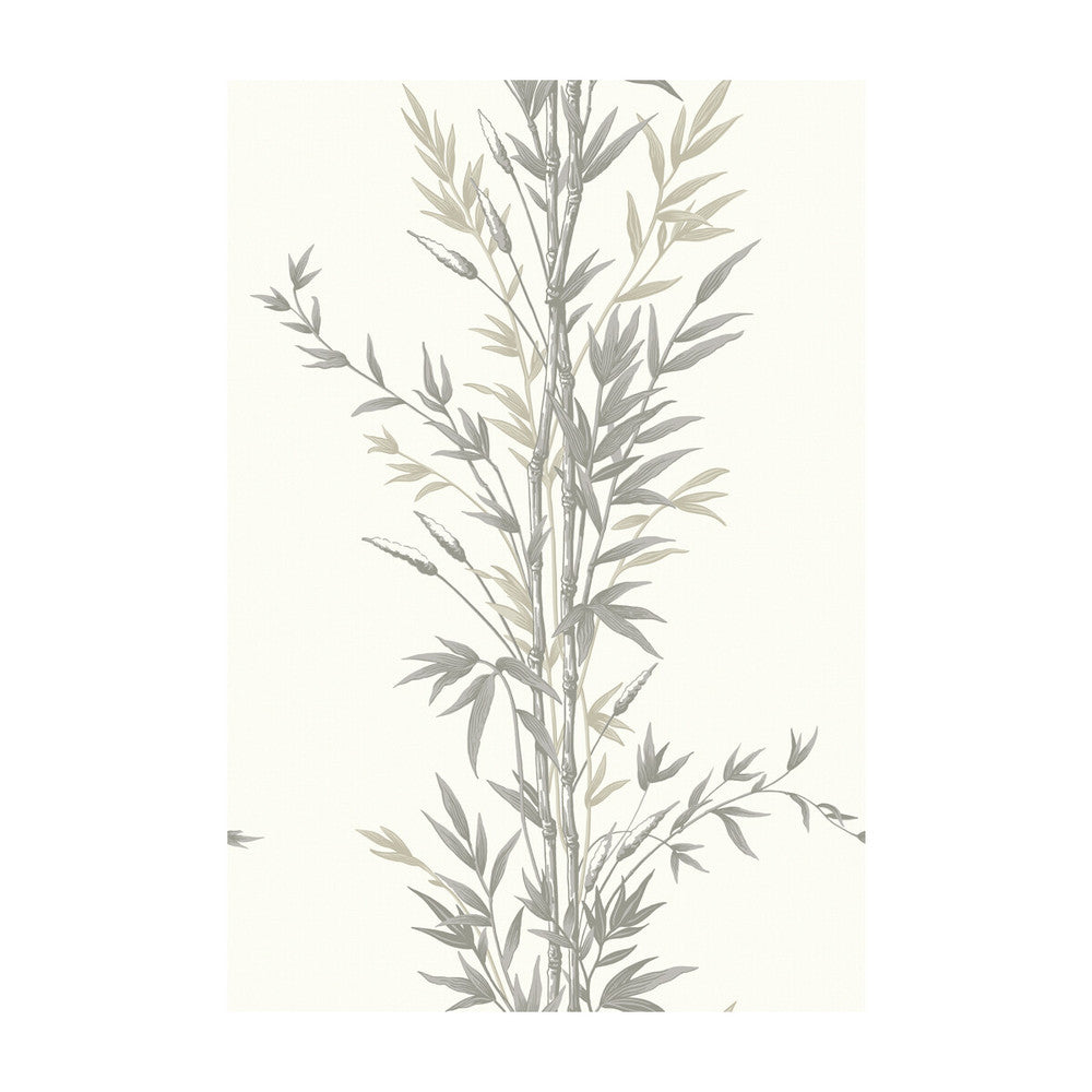 Bamboo Charcoal by Cole & Son Wallcovering COLE & SON ARCHIVE ANTHOLOGY PAPER - 100% United Kingdom Horizontal: and Vertical: 30 20.5 - Fabric Carolina -