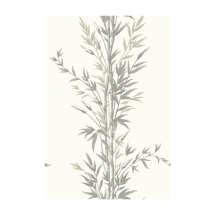Bamboo Charcoal by Cole & Son Wallcovering COLE & SON ARCHIVE ANTHOLOGY PAPER - 100% United Kingdom Horizontal: and Vertical: 30 20.5 - Fabric Carolina -