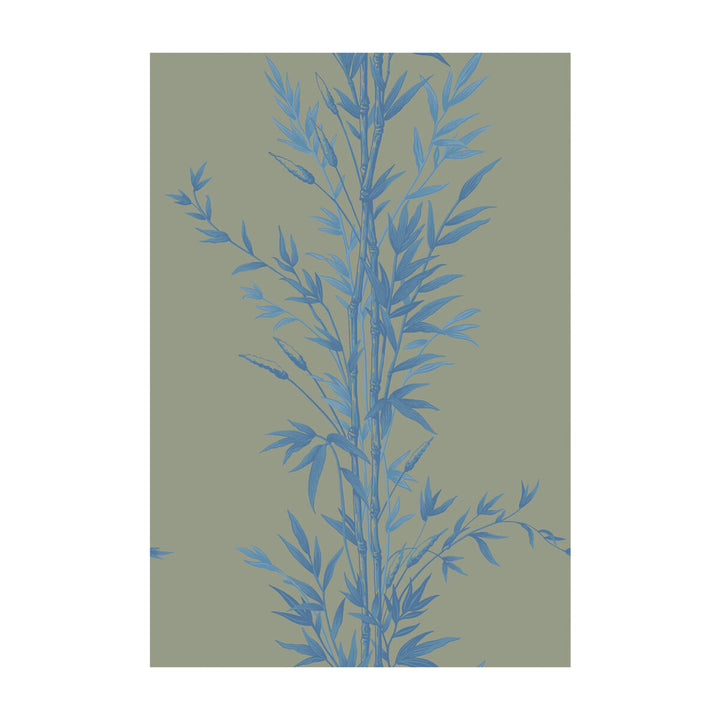 Bamboo Blue On Khaki by Cole & Son Wallcovering COLE & SON ARCHIVE ANTHOLOGY PAPER - 100% United Kingdom - Horizontal: - and Vertical: 30 20.5 - Fabric Carolina -